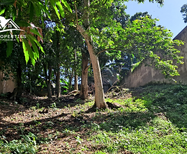 TERRENO EN COJUTEPEQUE 