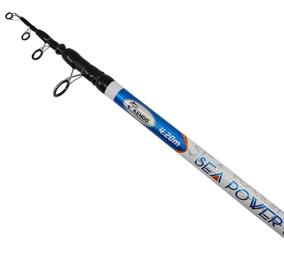 Küçük resim: Kendo Sea Power Surf 4.20m 100-250gr Olta Kamışı