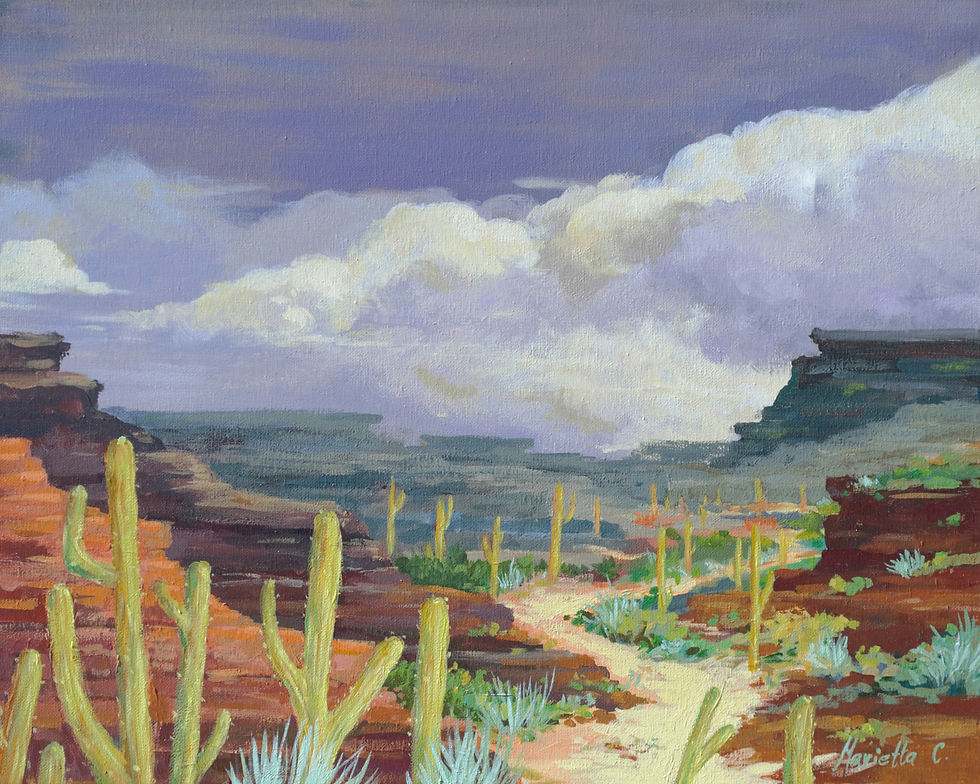 Quiet Path Through the High Desert1