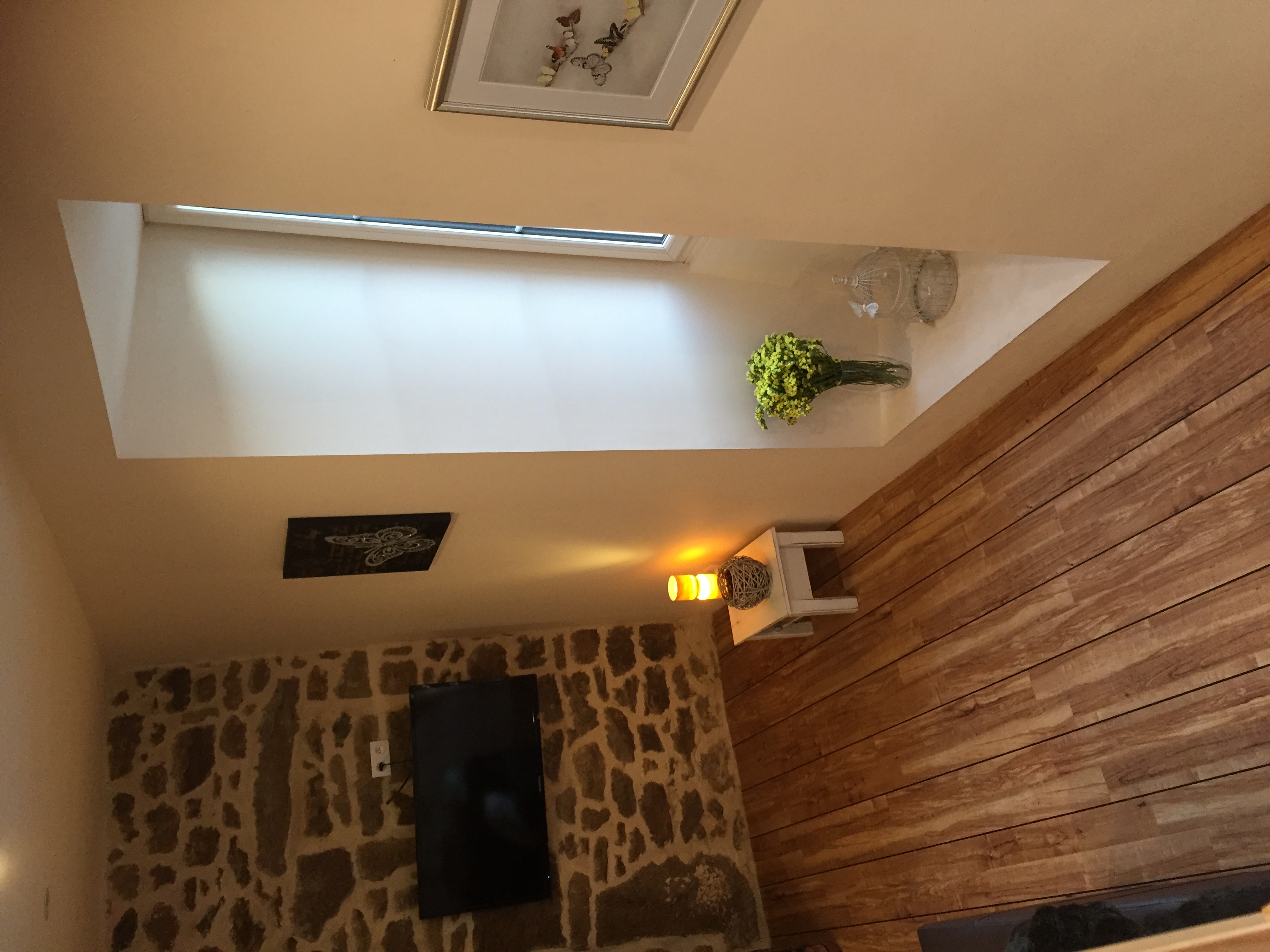 Freesat TV | Papillons