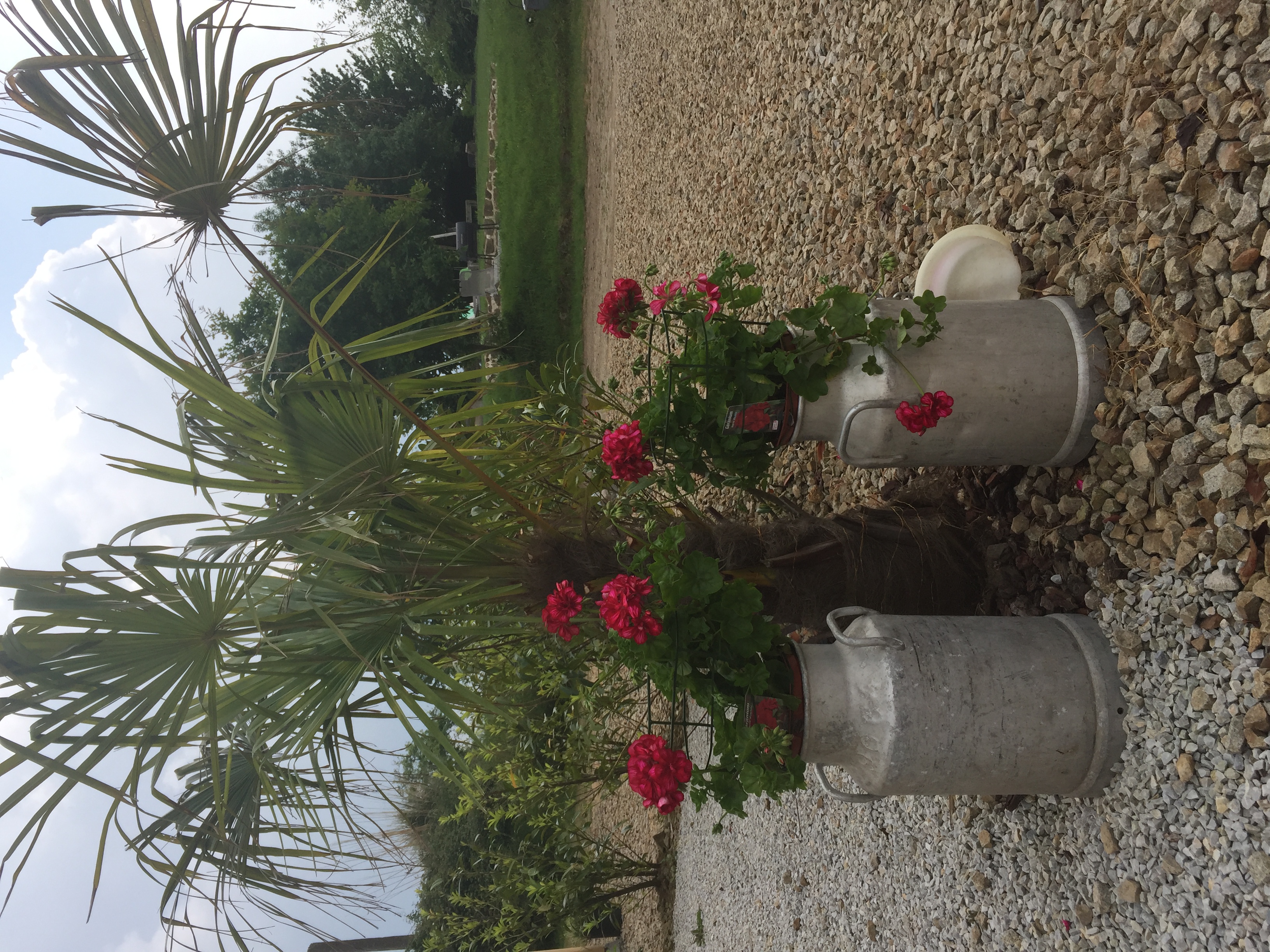 Vintage Milk Churns