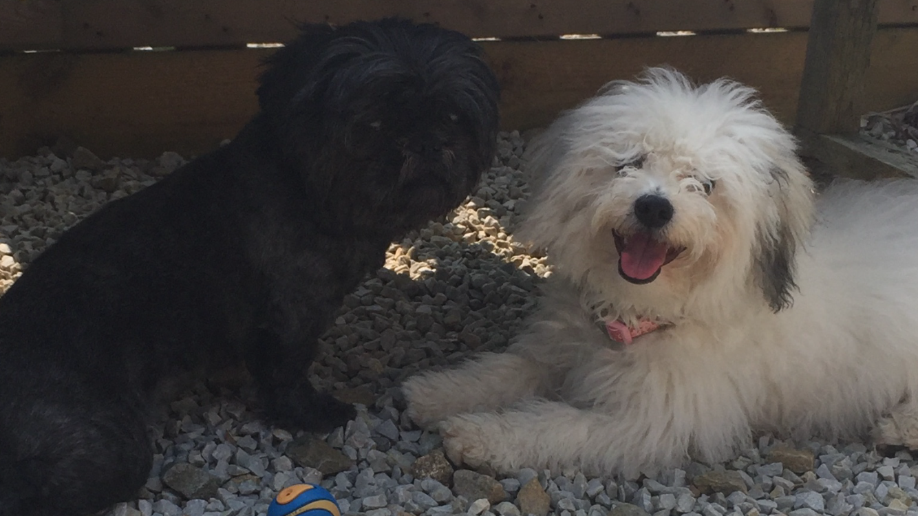 Missi & Lilli