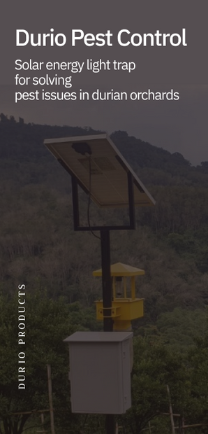 Solar energy light trap for solving pest issues in durian orchards.