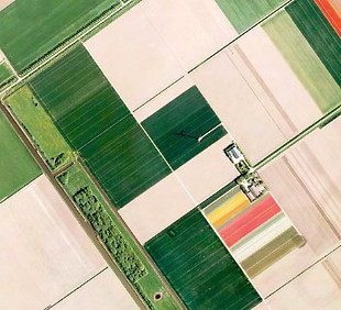 Agriculture_1.jpg