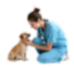 VacciCheck®_ titer_testing.webp