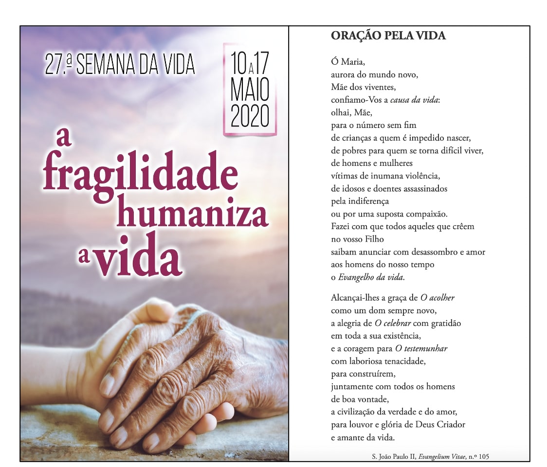 PastedGraphic-2 (2)