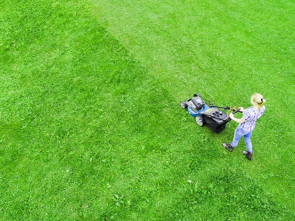 Lawn care specialists