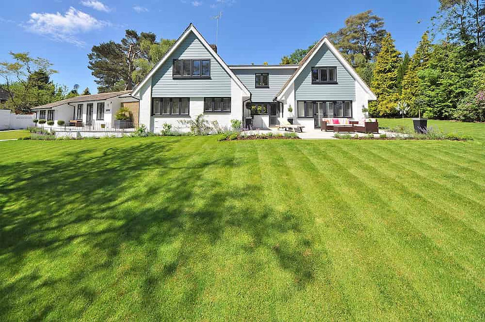 Amazing home lawn