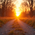 The Power of Forgiveness: How Letting Go Can Transform Your Life