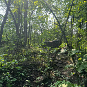 Natural Stairs up to Rock