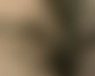 The Danger of Living on Past Knowledge