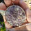 Thumbnail: Torus Orgone Medallion
