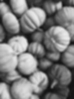 Pumpkins _edited.jpg
