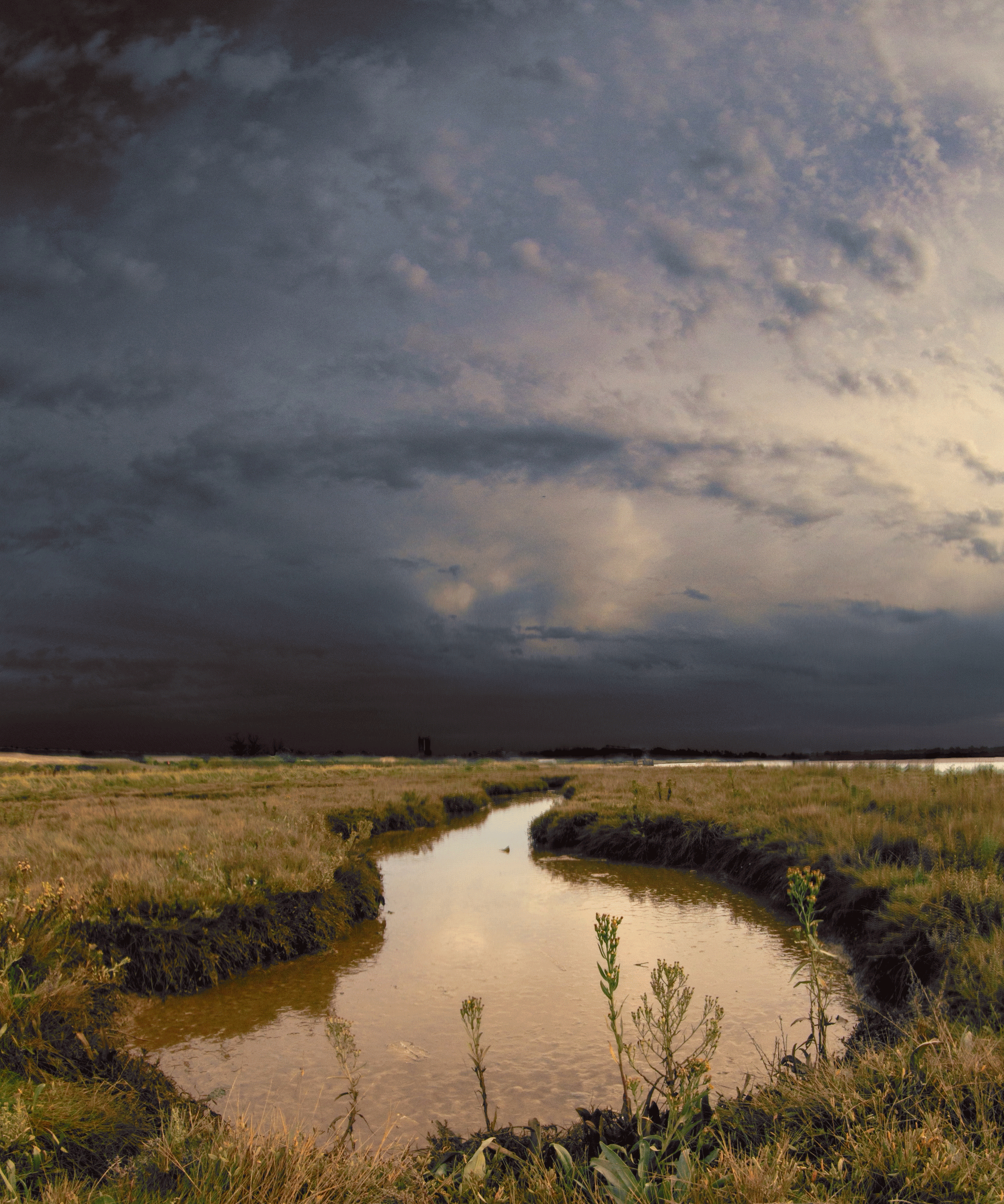 Flag-Creek-Essex