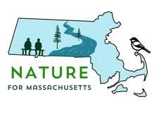 Nature for Massachusetts logo