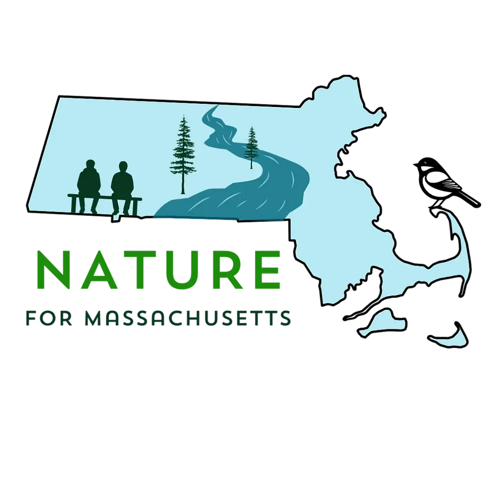 Nature for Massachusetts logo