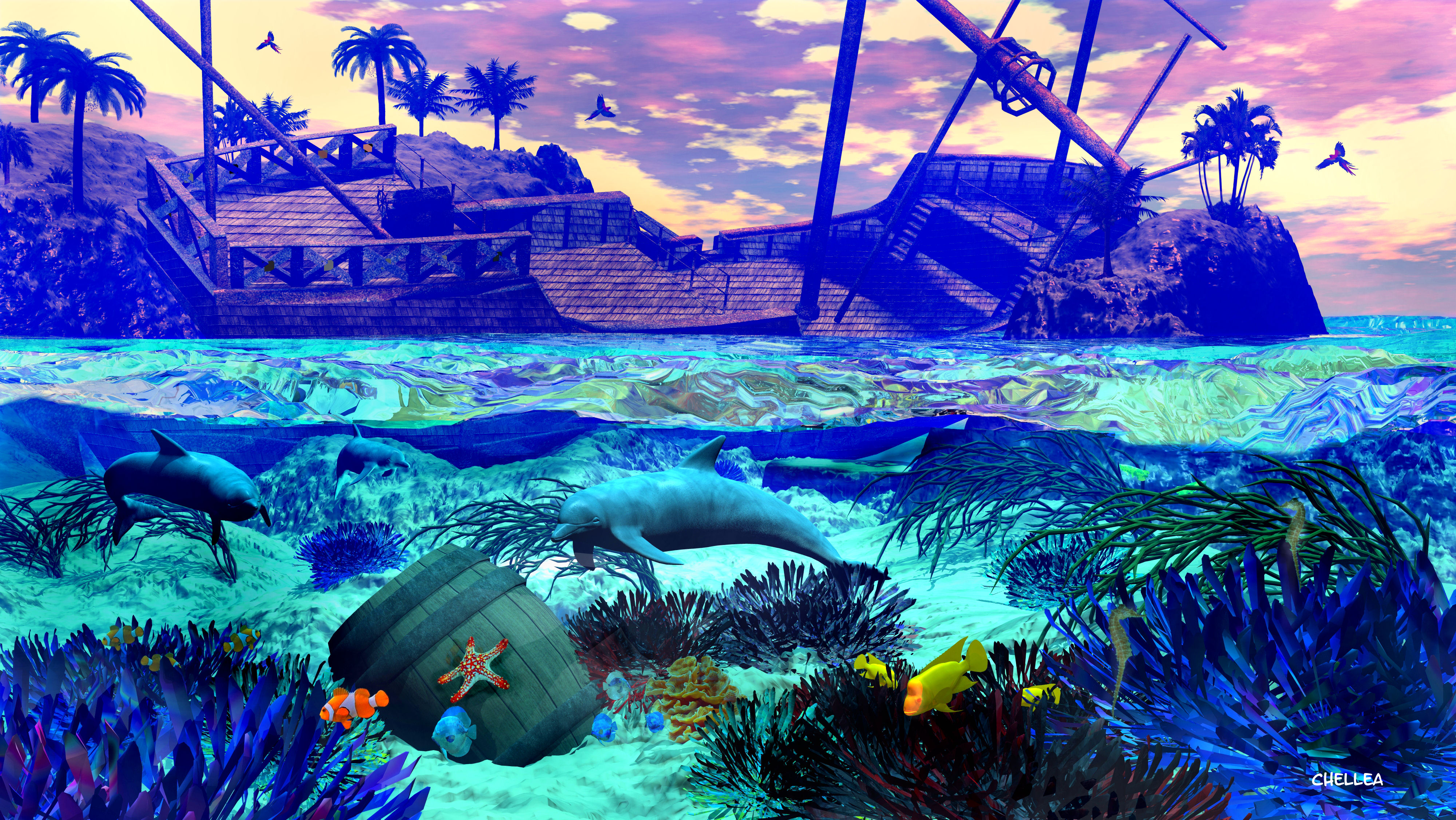 Dolphin Playground