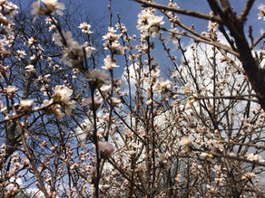 Happy Spring