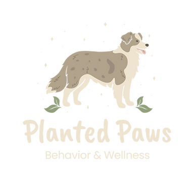 PP Stacked Colored Transparent White.png