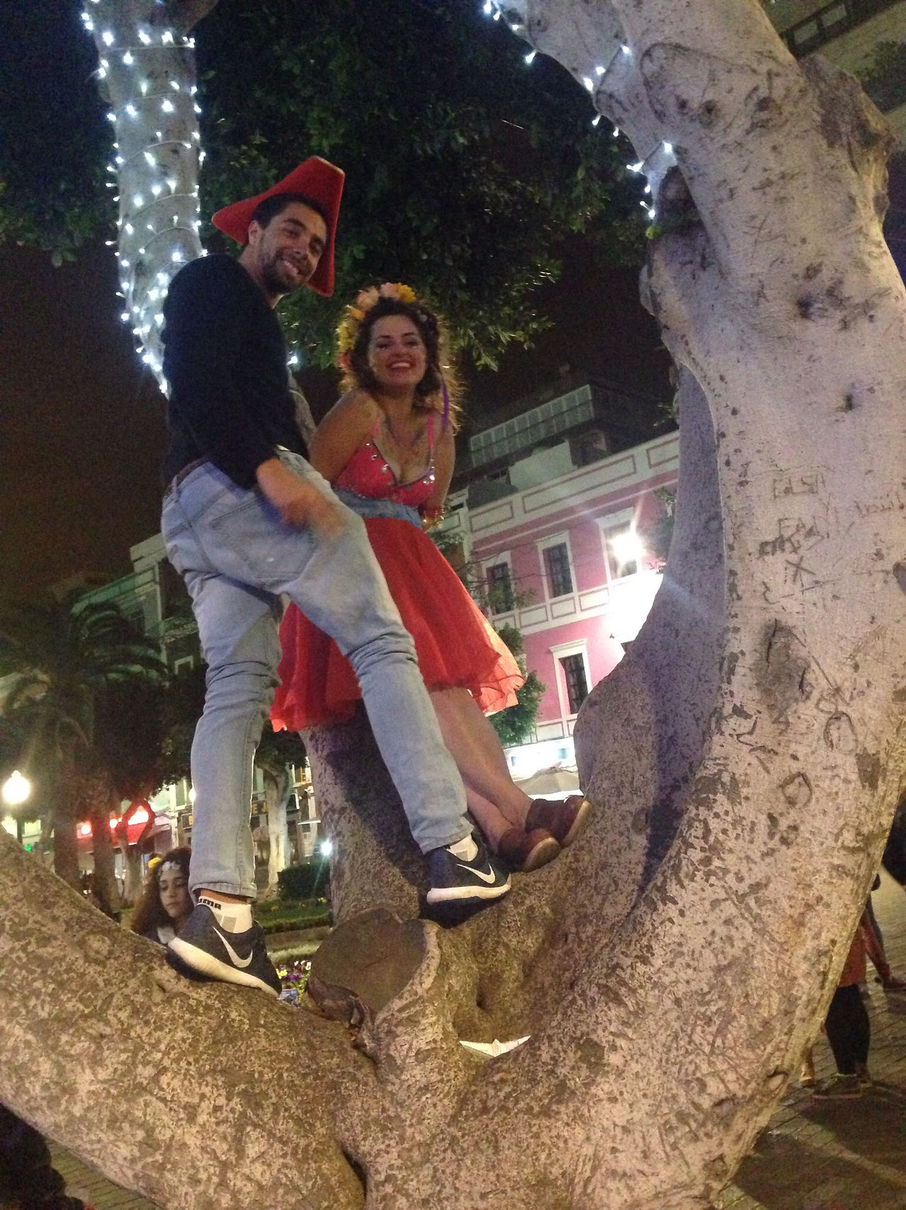 Tree Climbing