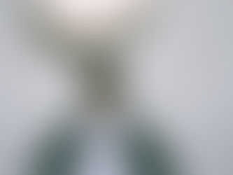 Analysing artist websites and their social media