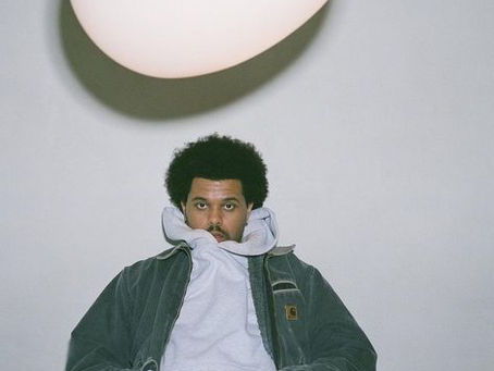 Analysing artist websites and their social media