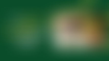 How Mutual Fund Distributor Help You Build Wealth