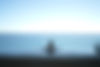 alex-bertha-Jyg7xHRmXiU-unsplash (1).jpg