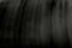 HomeBG