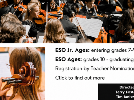Encore Jr. String Orchestra This Summer