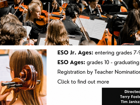 Encore Jr. String Orchestra This Summer