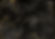 black-and-gold-marble-texture.jpg