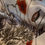Thumbnail: ZIJDEN SJAAL PAPAVER – KOUSTRUP & CO