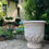 Thumbnail: LA MADELEINE POT TULIP - ANTIC PATINA