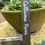 Thumbnail: LEISTEEN PLANTENSTEKER