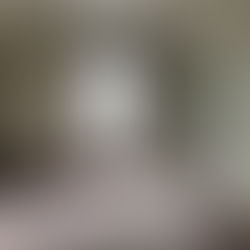 RENTED~512#4 N. Main Mt. Pleasant MI 48858