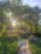 Screenshot_20240824_190747_Gallery.jpg