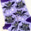 Thumbnail: Toothless Dragon Socks