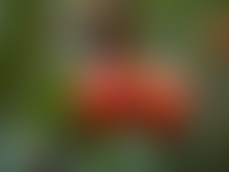 Unlocking Radiance: The Benefits of Vitamin C in Your Skincare Routine