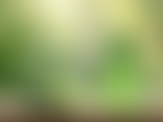 Soothe Sensitive Skin This Australian Summer with Effective Care Tips