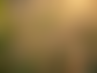 Exploring the Benefits of Organic Skincare in Australia with Clinically Supported Formulations