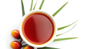 Does Palm Oil Cause Hypertension?