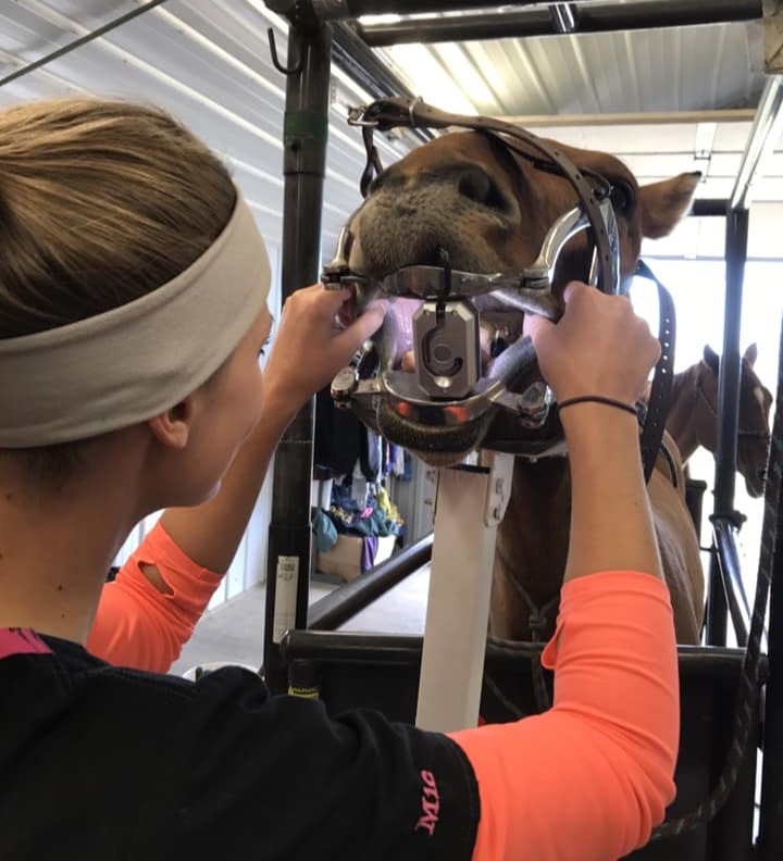 Veterinarian/Prairie View Veterinary Clinic/South Dakota