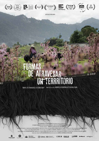 Formas de atravesar un territorio: Holístico y naturista