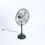 Miniaturbild: Petrus Standventilator