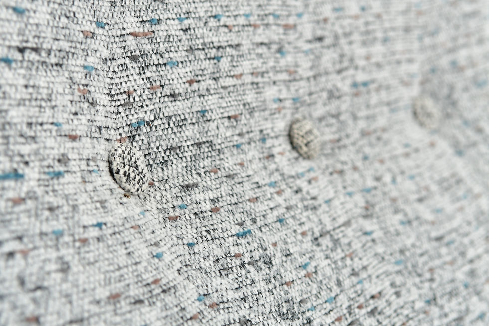 Miniaturbild: Midcentury Lounge Chair