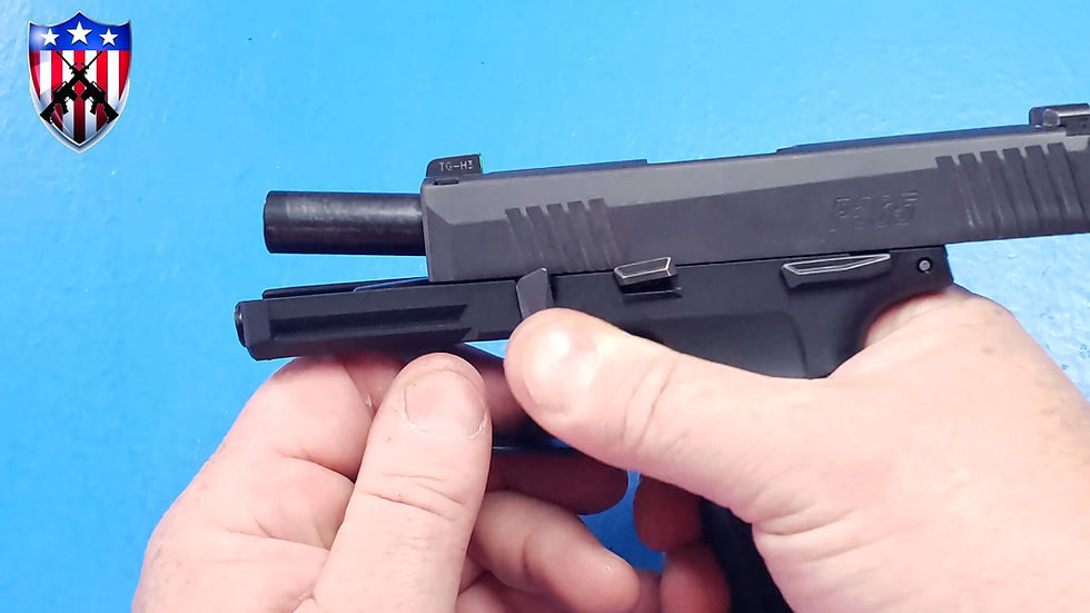 Thumbnail: Sig P365 Manual Safety Install & Removal