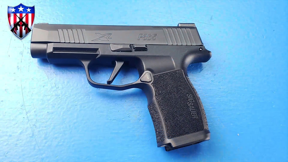 Thumbnail: Sig P365 Field Strip & Reassembly