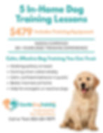 Gentle Dog Training - $479 Flyer