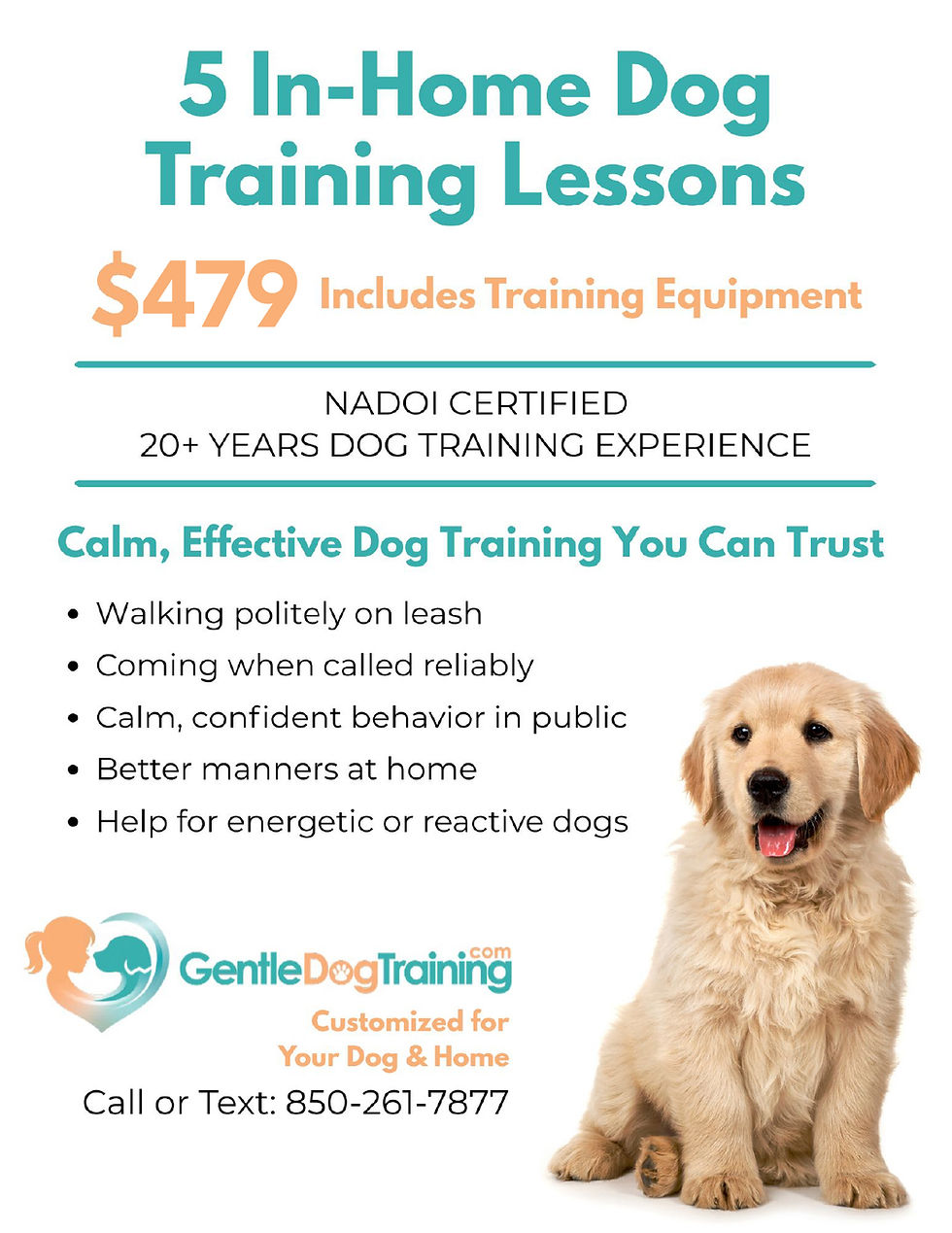 Gentle Dog Training - $479 Flyer